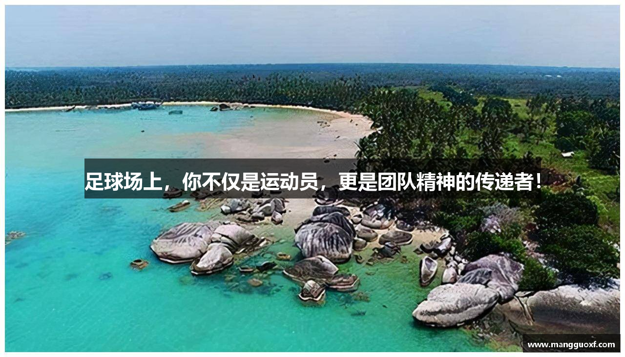 LETOU-乐投